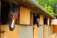 free Polnish stable construction quotes
